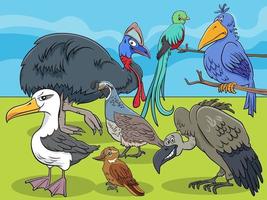 illustration de dessin animé de groupe de personnages animaux oiseaux vecteur