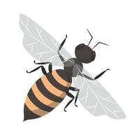 abeille icône dans plat style. vecteur animal illustration de une mon chéri abeille sur une blanc Contexte.