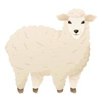vecteur isolé duveteux blanc mouton. national ferme animal.