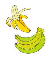 banane griffonnage vecteur Couleur illustration isolé sur blanc Contexte