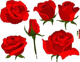 rouge Rose fleur paquet vecteur ensemble