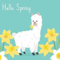 Bonjour printemps carte avec alpaga vecteur