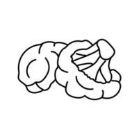 brocoli Frais ligne icône vecteur illustration