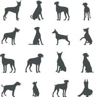 dobermann chien silhouettes, dobermann silhouette, dobermann svg, dobermann vecteur