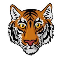 tigre tête mascotte équipe sport dessin animé, vecteur illustration