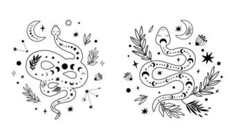 floral serpent ensemble. mystique céleste serpent fleurs sauvages, feuilles, lune. ligne art animal, main tiré graphique élément. floral lune conception. serpent esquisser dans noir couleur. reptile vecteur illustration.