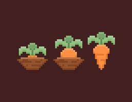 illustration de carotte plante croissance processus. carottes sont encore dans le sol jusqu'à ce que récolté. pixel art. conception éléments ou actifs. vidéo Jeux. vecteur