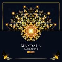 magnifique or floral mandala ornement vecteur Contexte