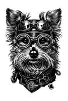 mignonne chien tête avec lunettes de soleil et chapeau main tiré illustration vecteur