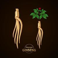 prime ginseng vecteur illustration