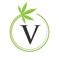 cannabis marijuana logo sur lettre v concept pour santé et médical thérapie. marijuana, cannabis signe modèle vecteur