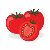 tomate des légumes icône. tomates entier fruit et moitié vecteur icône. tomates isolé sur blanc Contexte. vecteur illustration