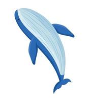 bleu baleine illustration vecteur