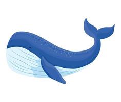 gros bleu baleine vecteur