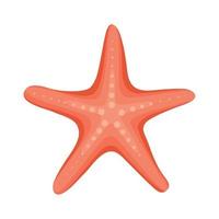 rouge étoile de mer conception vecteur