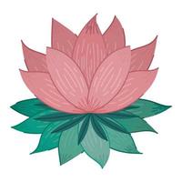 conception de lotus rose vecteur