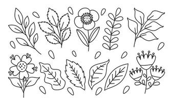 ligne art dessin de fleurs et les plantes vecteur