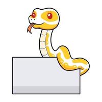 mignonne albinos Balle python serpent dessin animé avec Vide signe vecteur