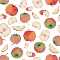 main tiré aquarelle Pomme des fruits, mûr, plein et tranches rouge et vert avec feuilles. sans couture modèle. isolé objet sur blanc Contexte. conception pour mur art, mariage, imprimer, tissu, couverture, carte. vecteur