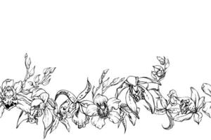 main tiré vecteur encre orchidée fleurs et branches, monochrome, détaillé contour. horizontal sans couture bannière. isolé sur blanc Contexte. conception pour mur art, mariage, imprimer, tatouage, couverture, carte.