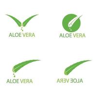 logo icône aloe vera vecteur