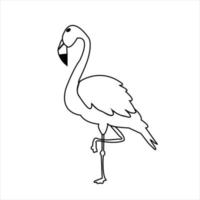 mignonne vecteur flamand Célibataire et avec couple oiseau dessin animé illustration art.