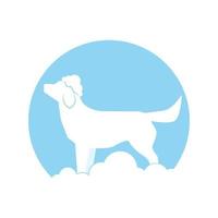 chien logo avec savonneux mousse pour toilettage vecteur