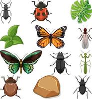 différents types d'insectes avec des éléments de la nature vecteur