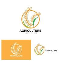 riz logo, agriculture conception, vecteur blé riz icône modèle illustration