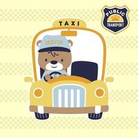 mignonne ours le Taxi conducteur, vecteur dessin animé illustration