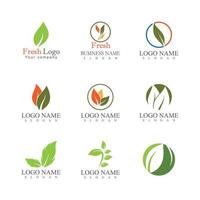 modèle de logo feuille icône vector illustration design