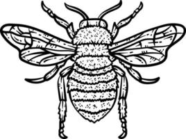 abeille animal coloration page pour adulte vecteur