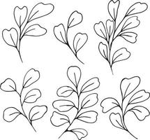 ensemble de branches de plantes vectorielles graphiques avec feuilles et fleurs. éléments vectoriels pour la conception de mariage, la conception de logo, l'emballage et d'autres idées vecteur