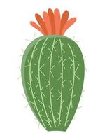 cactus illustration dans une plat style sur une blanc Contexte. Accueil les plantes cactus illustration. vecteur