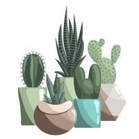 cinq différent cactus dans céramique marmites. succulentes, épineux poire, opuntia, haworthia ou zèbre cactus, sansevieria vecteur