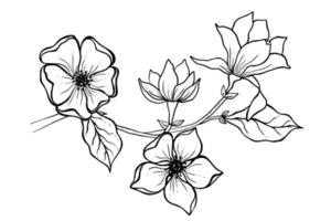 magnolia fleur dessin illustration. noir et blanc avec ligne art. vecteur