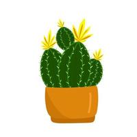 cactus vert épineux fleurit avec des fleurs jaunes dans un pot brun, plante tropicale, fleurs à la maison en style cartoon, objet vectoriel, main dessiner, isoler fond blanc. vecteur