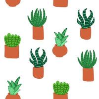 motif de cactus. illustration vectorielle dans un style plat de dessin animé isolé sur fond blanc. vecteur