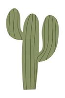 cactus et succulentes, vecteur illustration dans plat style