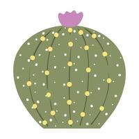 cactus et succulentes, vecteur illustration dans plat style