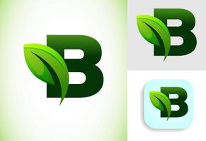 initiale b alphabet avec une feuille. respectueux de la nature logo concept. graphique alphabet symbole pour affaires et entreprise identité. vecteur