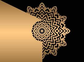 mandala. ethnique décoratif élément. main tiré toile de fond. Islam, arabe, Indien, ottoman motifs. vecteur