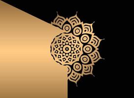 mandala. ethnique décoratif élément. main tiré toile de fond. Islam, arabe, Indien, ottoman motifs. vecteur