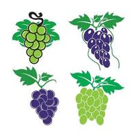 grain de raisin icône vecteur illustration logo conception