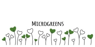 coloré microgreen assorti des graines pois oignon un radis betterave et autres sur blanc Contexte vecteur illustration