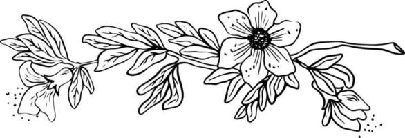 lineart de Grenade arbre branche avec feuilles et fleurs noir sur blanc Contexte vecteur