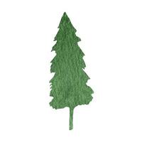 main tiré aquarelle sapin arbre forêt clipart vecteur