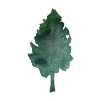 main tiré aquarelle sapin arbre forêt clipart vecteur