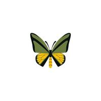 une magnifique papillon. coloré papillon logo. vecteur