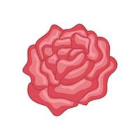 illustration de fleur botanique florale de vecteur rose ornement